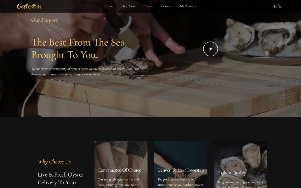 plancase_web_02